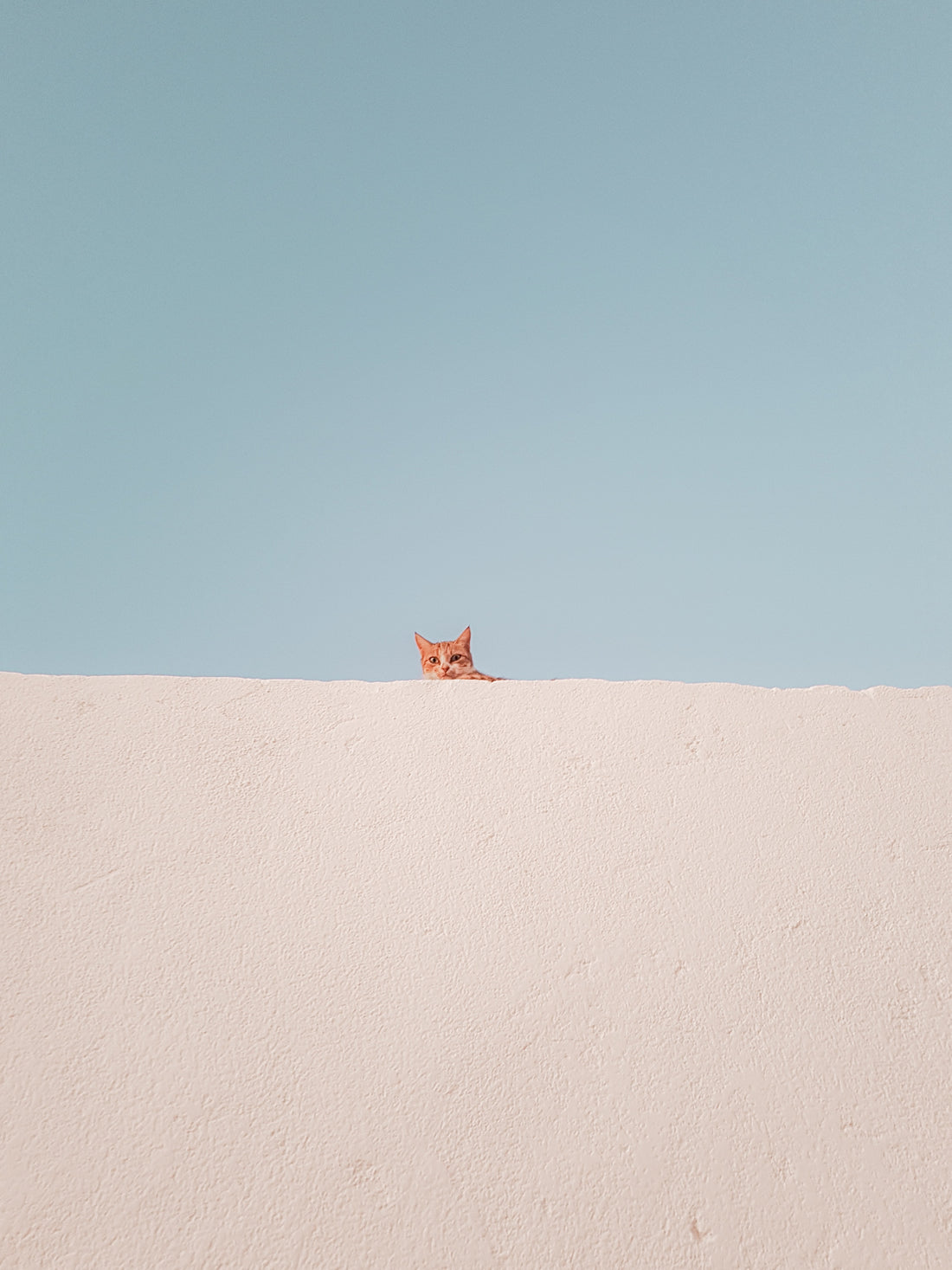 Understanding Colorblindness